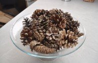 Pine Cone Thumbnail 14