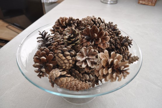 Pine Cone Image 14