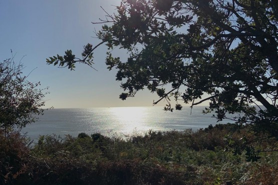 Place By The Sea Image 7