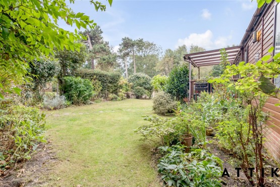 Regal Autograph 2 bedroom lodge on a lovely gardeners and bird watchers paradise pitch!!! Image 9